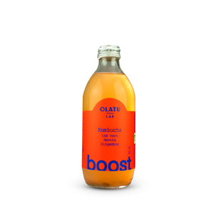 Kombucha BOOST BIO OLATU 33cl - x6
