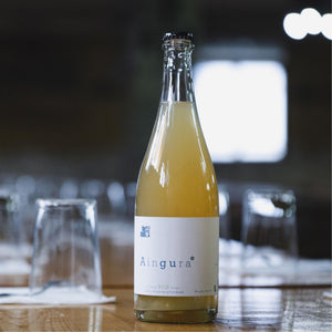 KUPELA Cidre Brut Grand Cru BIO AINGURA 75cl - [boisson_basque]